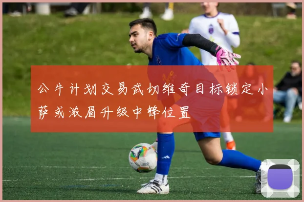 公牛计划交易武切维奇目标锁定小萨或浓眉升级中锋位置