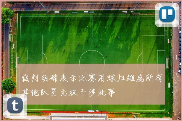 裁判明确表示比赛用球归雄鹿所有其他队员无权干涉此事